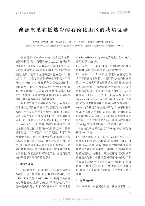 澳洲坚果在低热岩溶石漠化山区的栽培试验
