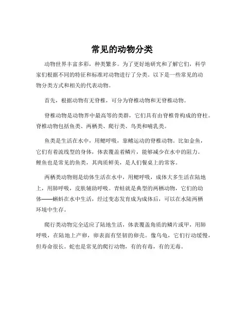 常见的动物分类