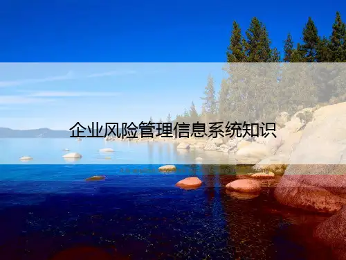企业风险管理信息系统知识