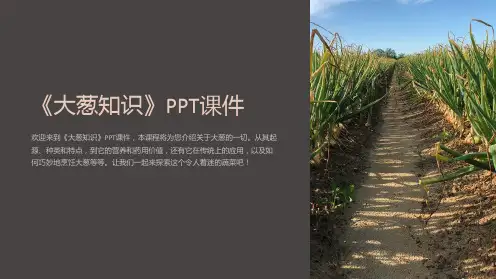 《大葱知识》课件
