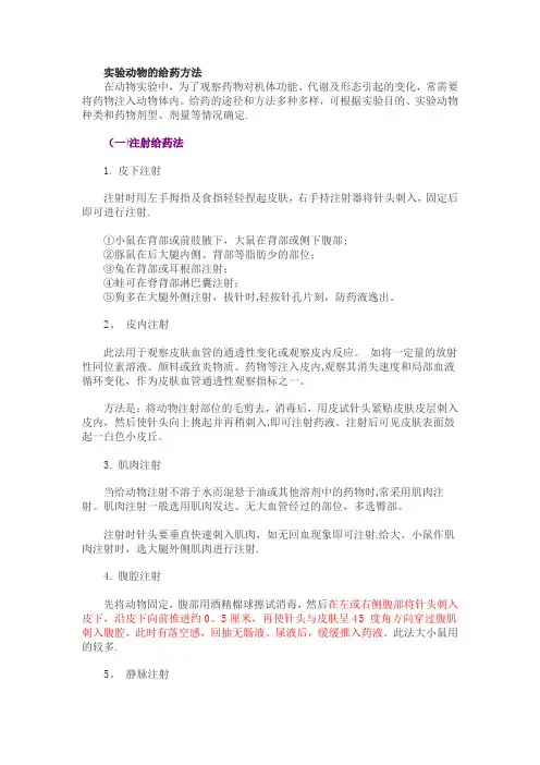 实验动物的给药方法