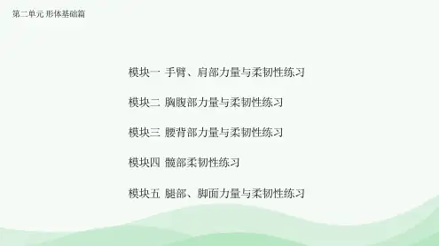 第二单元 形体基础篇