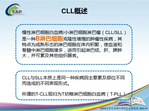 慢性淋巴细胞白血病(CLL) 指南解读