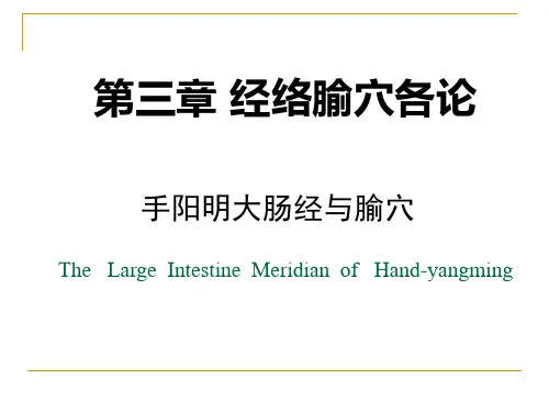手阳明大肠经