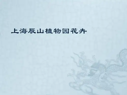 上海辰山植物园花卉