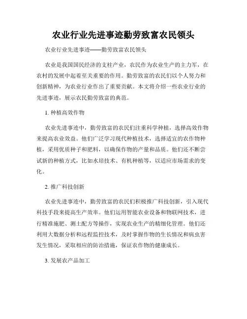 农业行业先进事迹勤劳致富农民领头