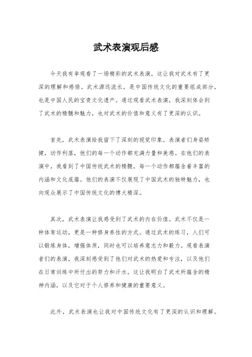 武术表演观后感