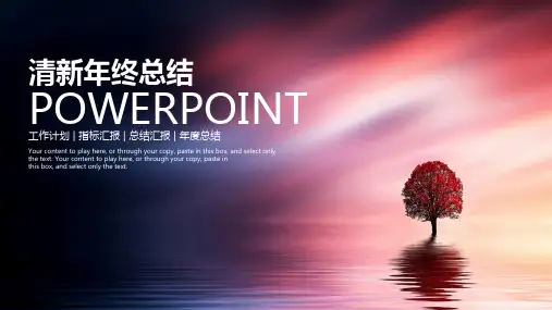 工作总结汇报通用PPT模板