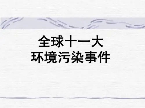 全球十一大公害事件