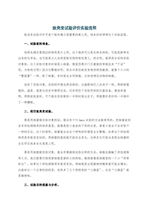 致突变试验评价实验流程
