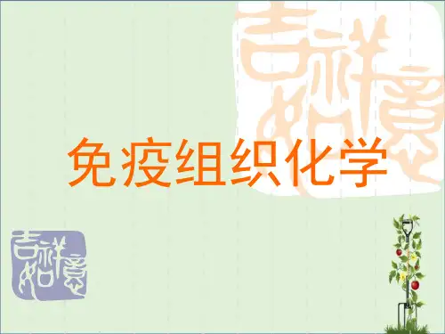 免疫组织化学