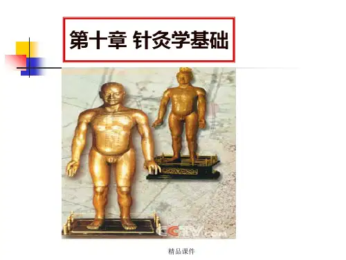 针灸学(第七版)