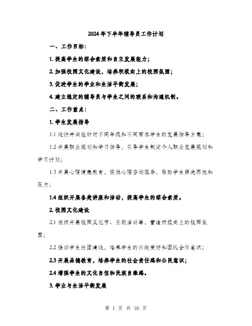 2024年下半年辅导员工作计划(5篇)