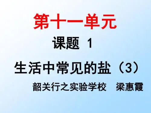 生活中常见的盐(3)(1)