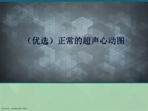 正常的超声心动图