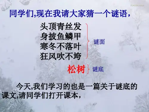 《山谷中的谜底》课件