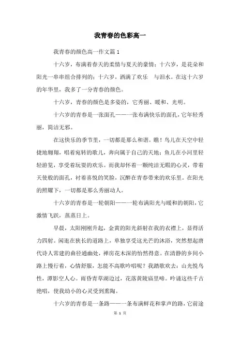 我青春的色彩高一