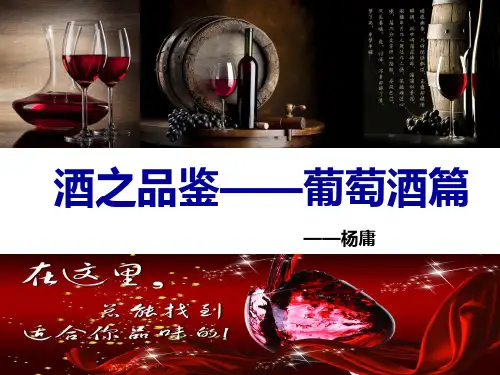 酒之品鉴葡萄酒篇ppt课件