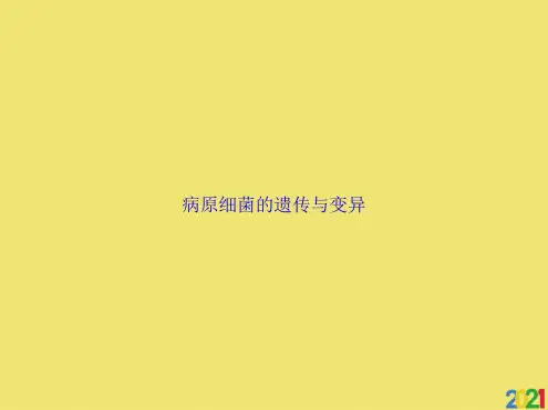病原细菌的遗传与变异标准版