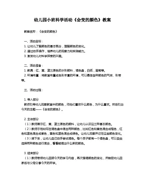 幼儿园小班科学活动《会变的颜色》教案