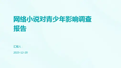 网络小说对青少年影响调查报告