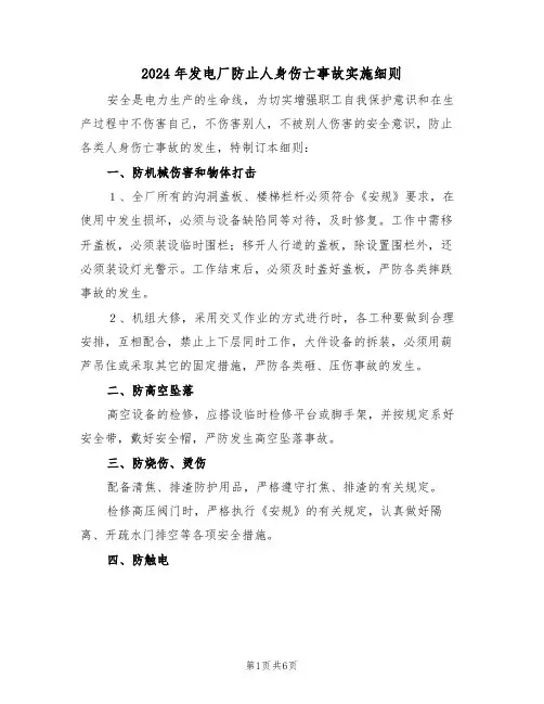 2024年发电厂防止人身伤亡事故实施细则(三篇)