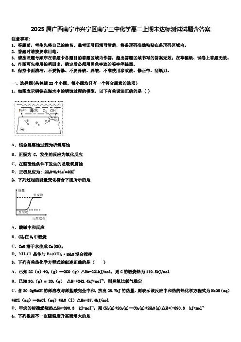 2025届广西南宁市兴宁区南宁三中化学高二上期末达标测试试题含答案