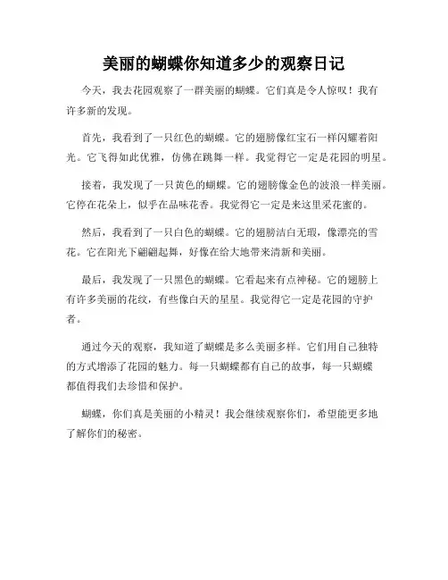 小学三年级作文美丽的蝴蝶你知道多少的观察日记