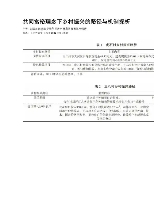 共同富裕理念下乡村振兴的路径与机制探析