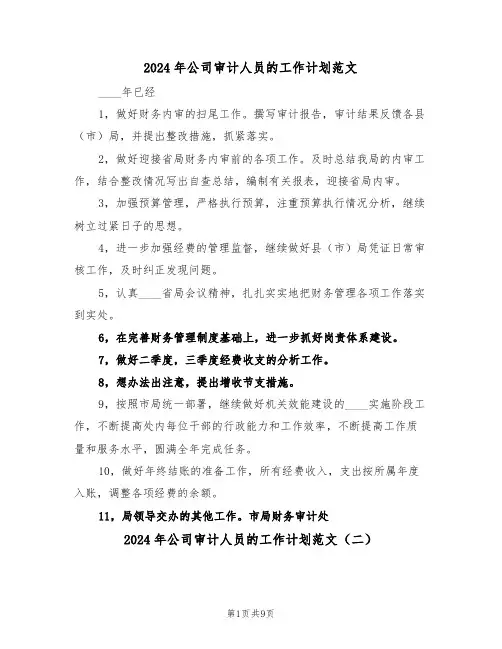 2024年公司审计人员的工作计划范文(三篇)