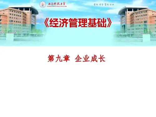 第九章 企业成长 PPT