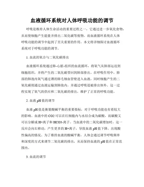 血液循环系统对人体呼吸功能的调节