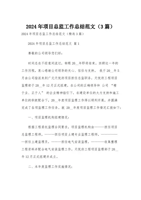 2024年项目总监工作总结范文(3篇)