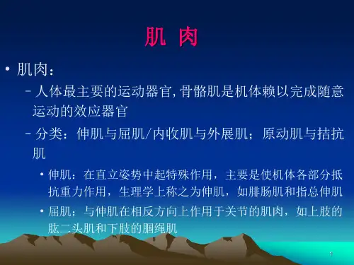 痉挛的康复处理