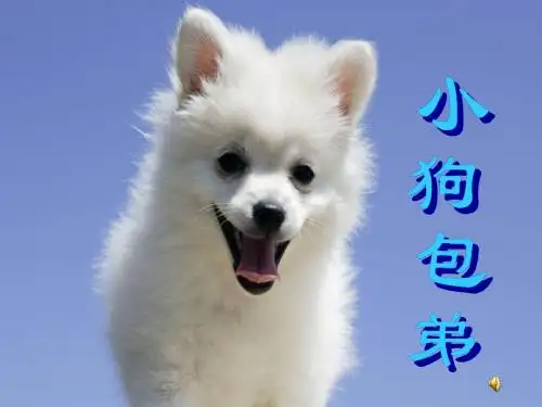 2003年度人物——颁奖辞穿越一个世纪,见证沧桑