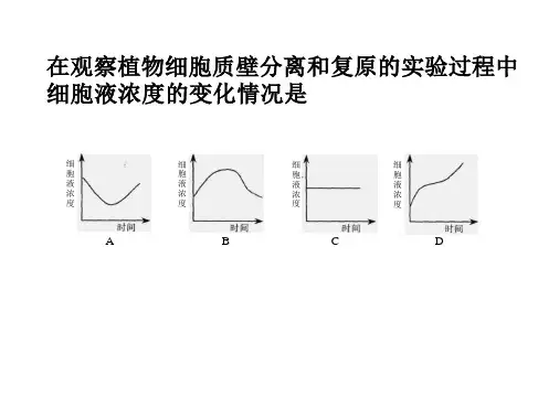 高中生物人教版2019必修1-5.1《酶的特性课件(共62张PPT)