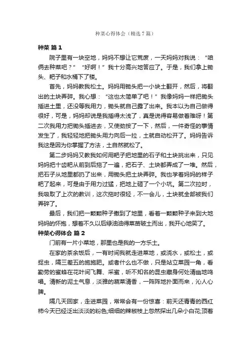 种菜心得体会（精选7篇）