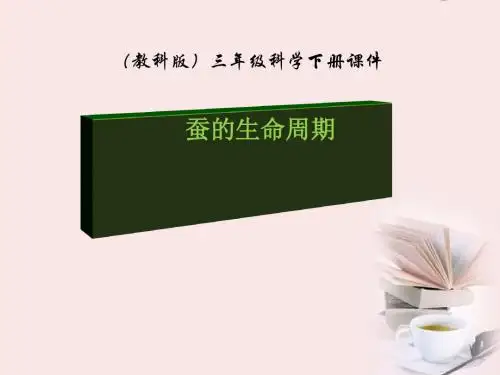 《蚕的生命周期》动物的生命周期PPT课件2