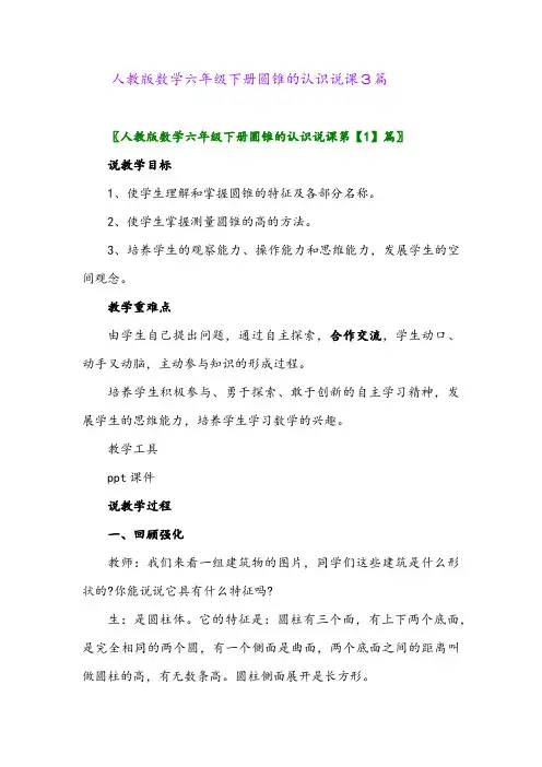 2024年人教版数学六年级下册圆锥的认识说课3篇