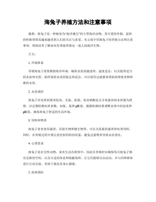 海兔子养殖方法和注意事项