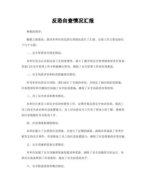 反恐自查情况汇报