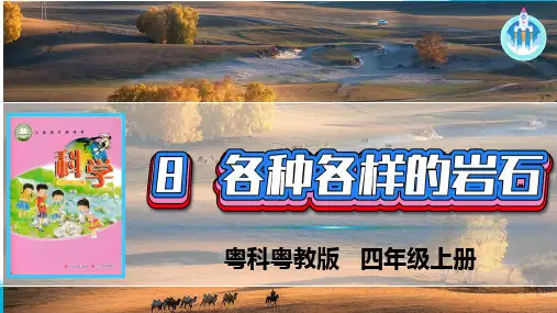 粤教最新版科学四年级上册8各种各样的岩石课件PPT精编版