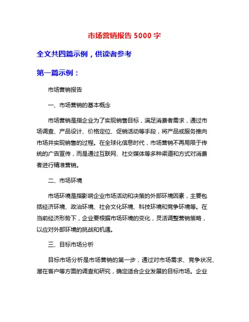 市场营销报告5000字