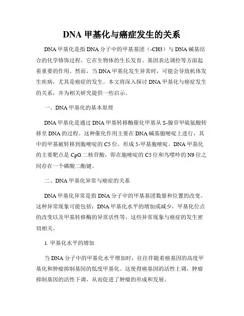 DNA甲基化与癌症发生的关系