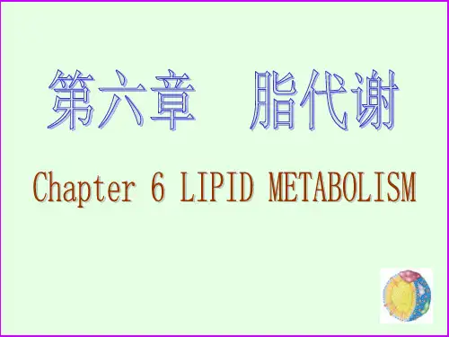 糖代谢脂肪酸分解PPT课件