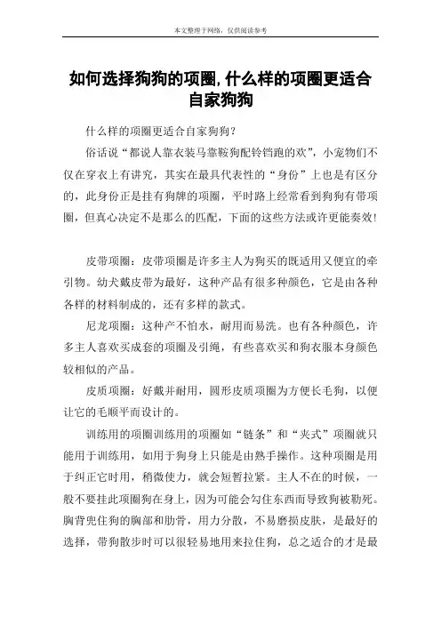 如何选择狗狗的项圈,什么样的项圈更适合自家狗狗