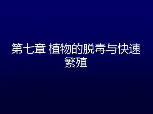 植物组织培养学 (2)PPT课件