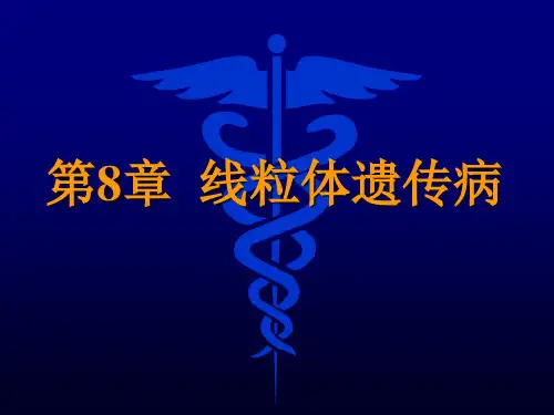 线粒体遗传病PPT课件