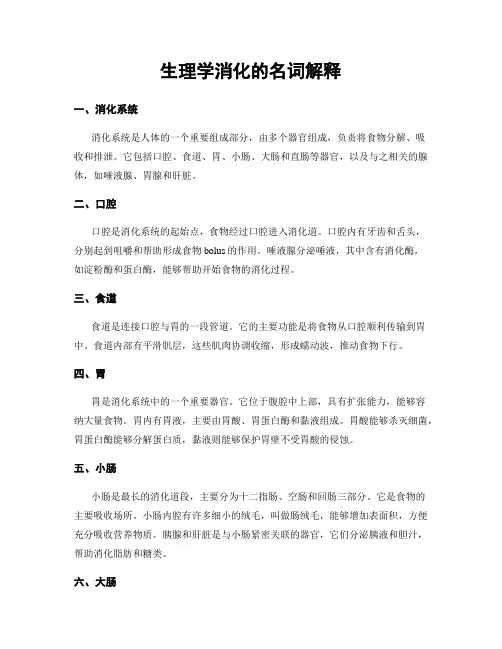 生理学消化的名词解释