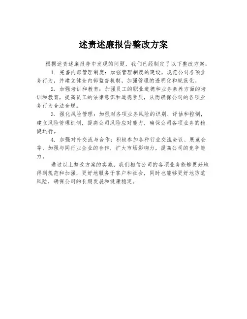 述责述廉报告整改方案